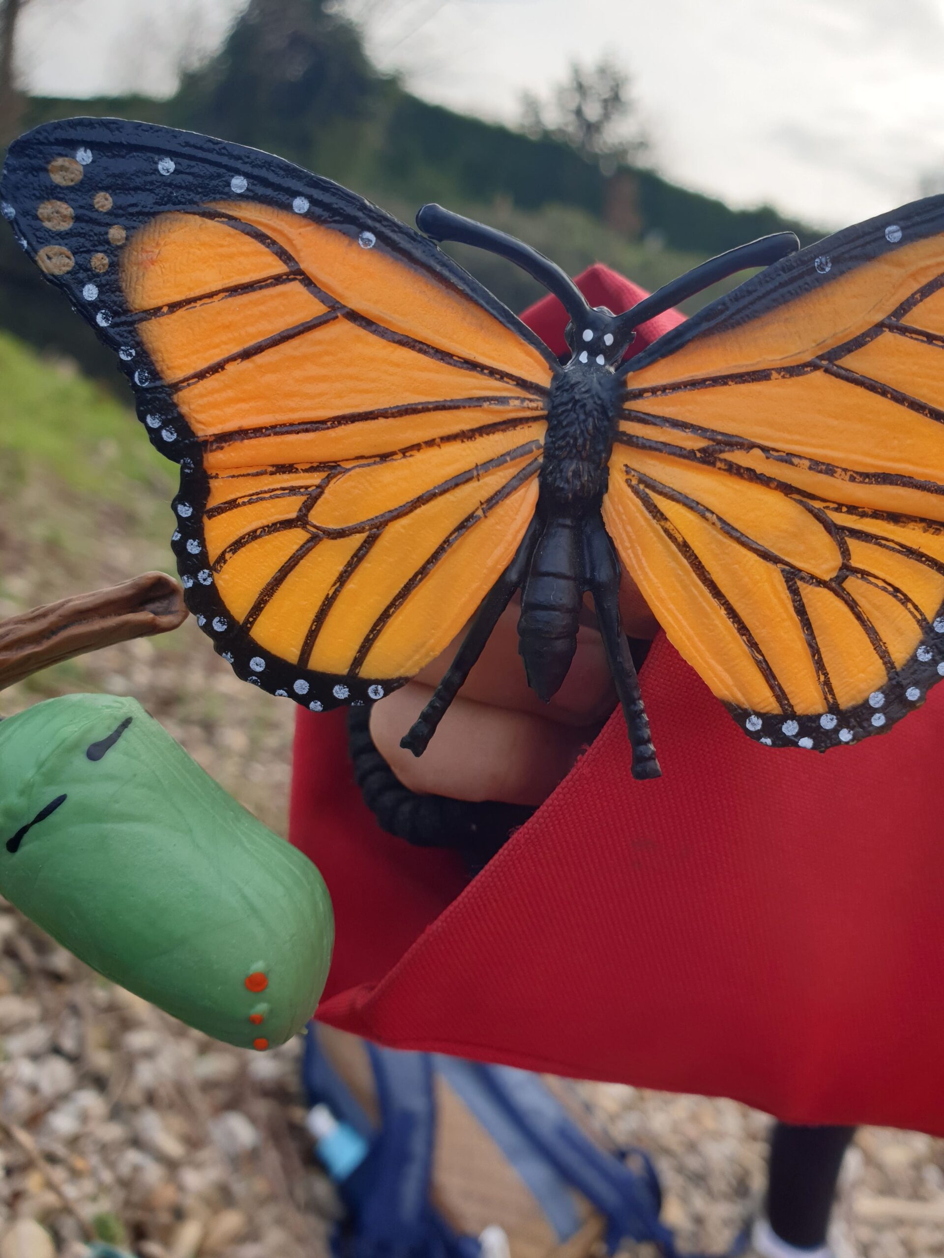 école privée hors contrat tournon-sur-rhône