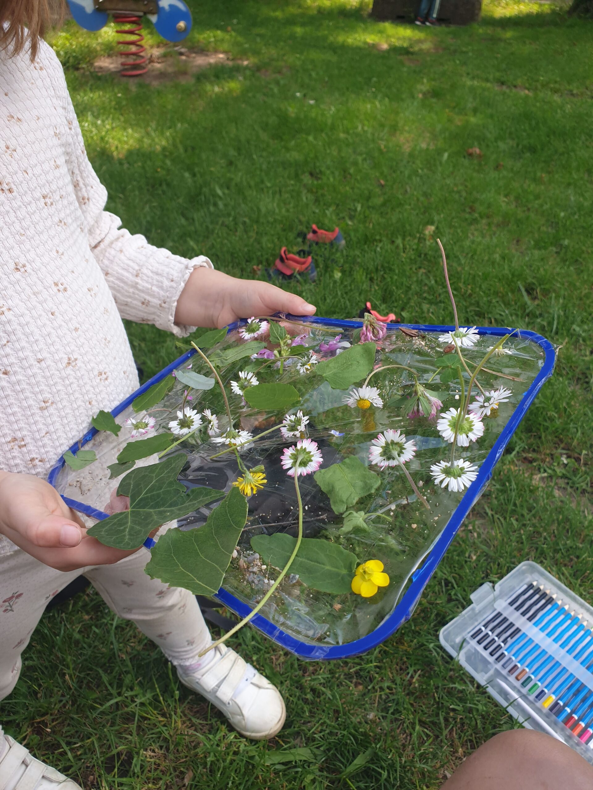 école du dehors tournon-sur-rhône ardèche